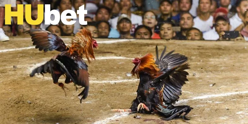 Sảnh Digmaan có nhiều quy định nghiêm ngặt