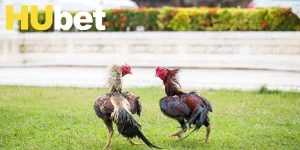 Sảnh Ws168 - Sân Chơi Tiện Lợi Với Đa Dạng Tính Năng Hữu Ích