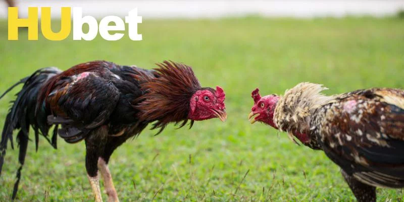 Khám phá nhiều tính năng nổi bật ở sảnh Ws168